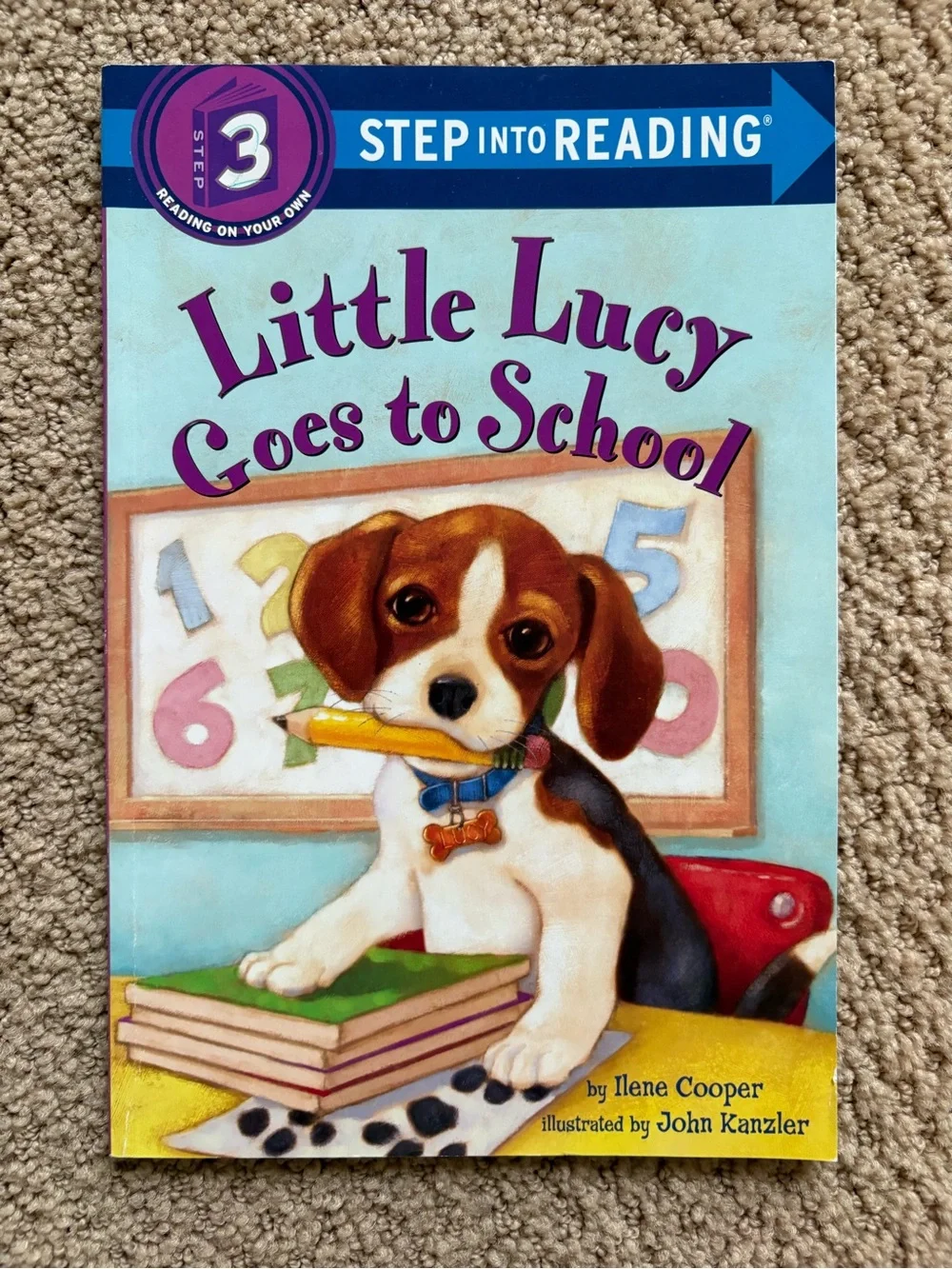 Scholastic step into